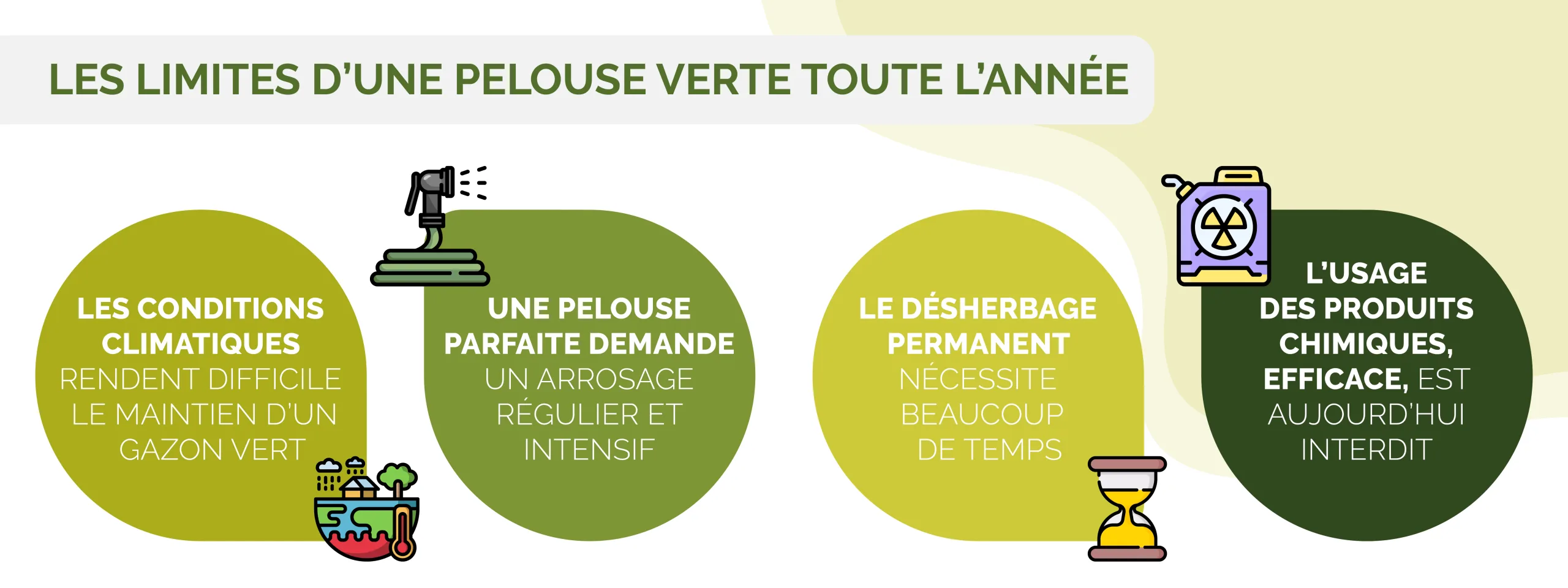 Les inconvénients de la pelouse classique