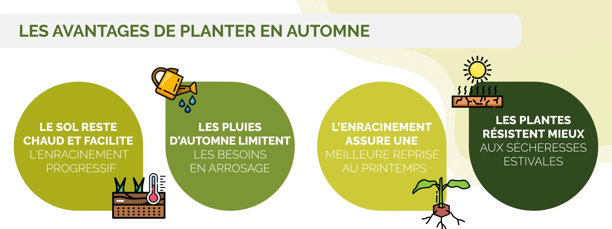 Les intérêts de la plantation d’automne