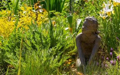 Plantation d’automne : quoi planter dans le jardin à cette saison ?