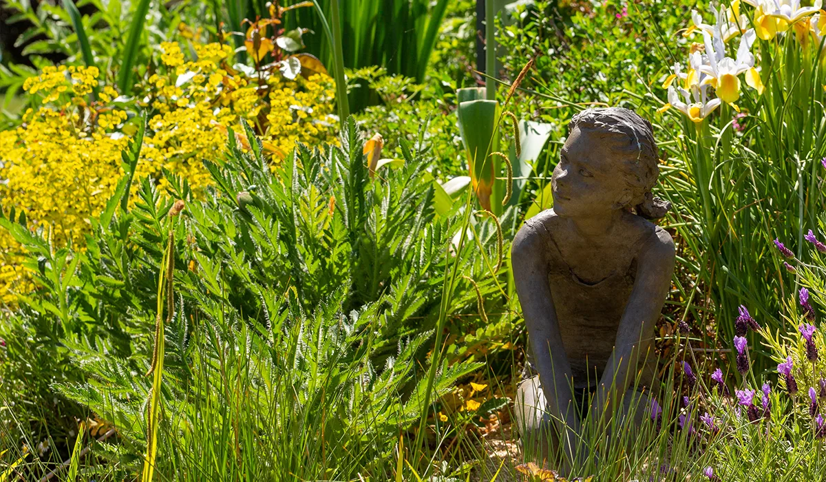 des végétaux d’automne dans un jardin