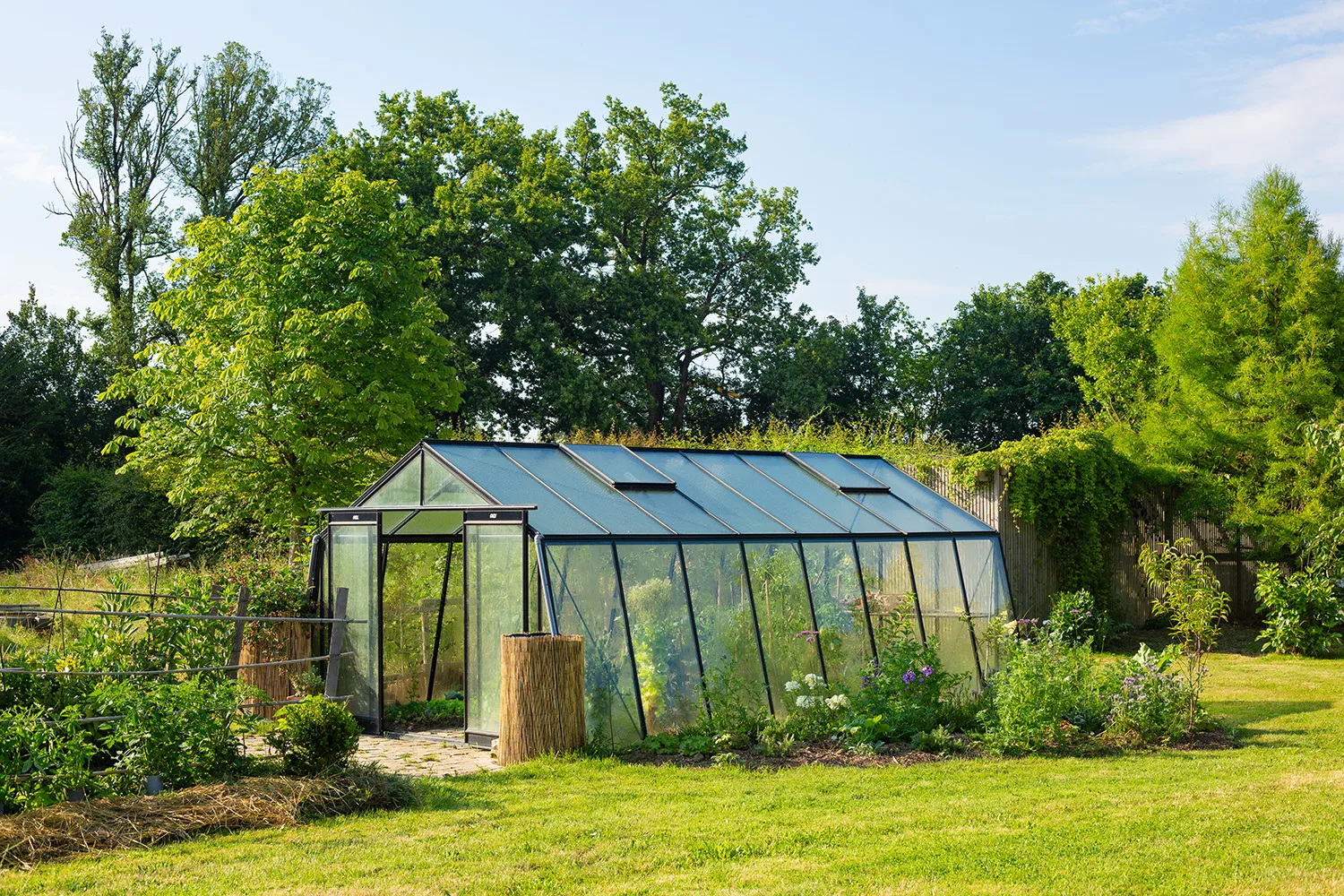 un jardin potager dans une serre