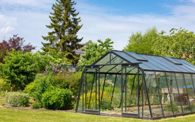 La serre de jardin : un espace polyvalent pour jardiner et se détendre