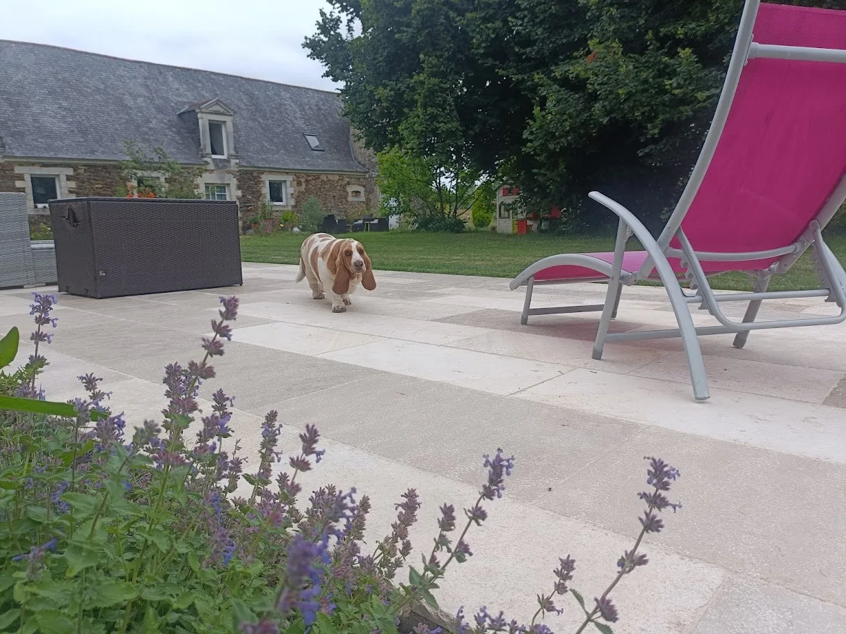 une terrasse en granit