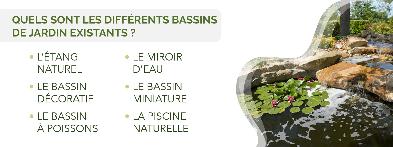 infographie précisant les différents types de bassin extérieur