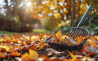 L’hivernage du jardin : comment bien préparer ses extérieurs pour l’hiver ?