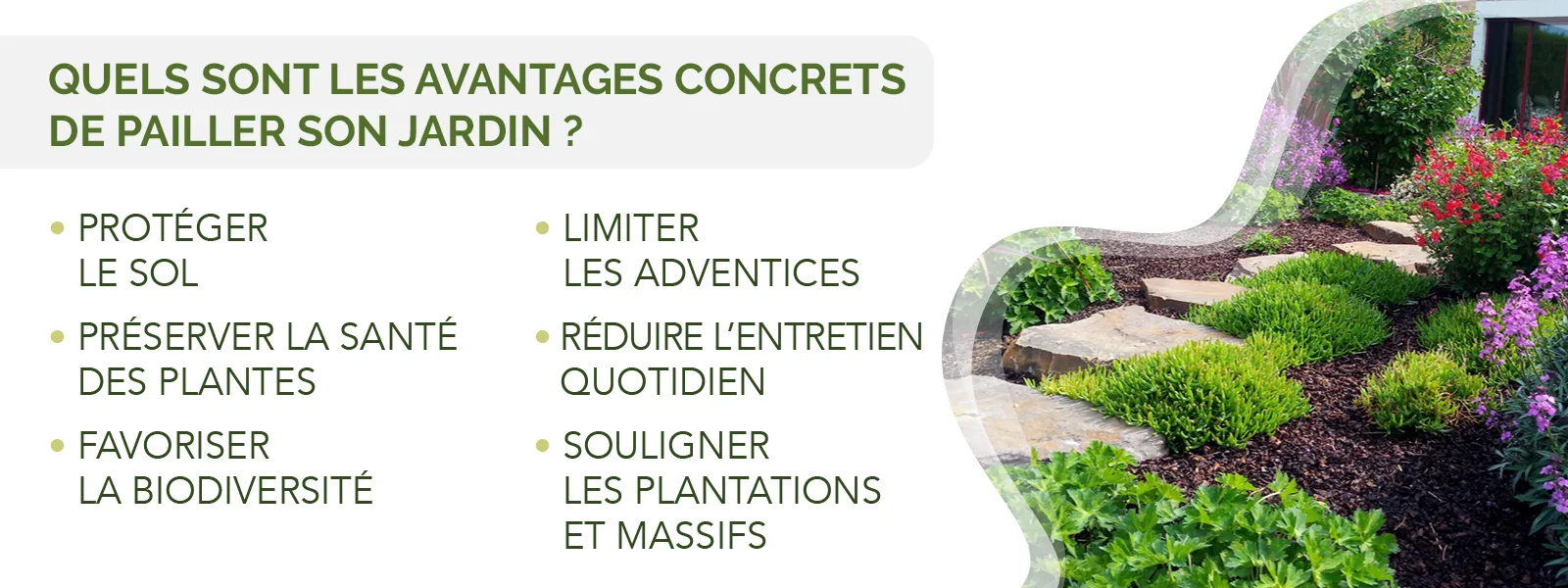 infographie détaillant les besoins des différents arbres fruitiers