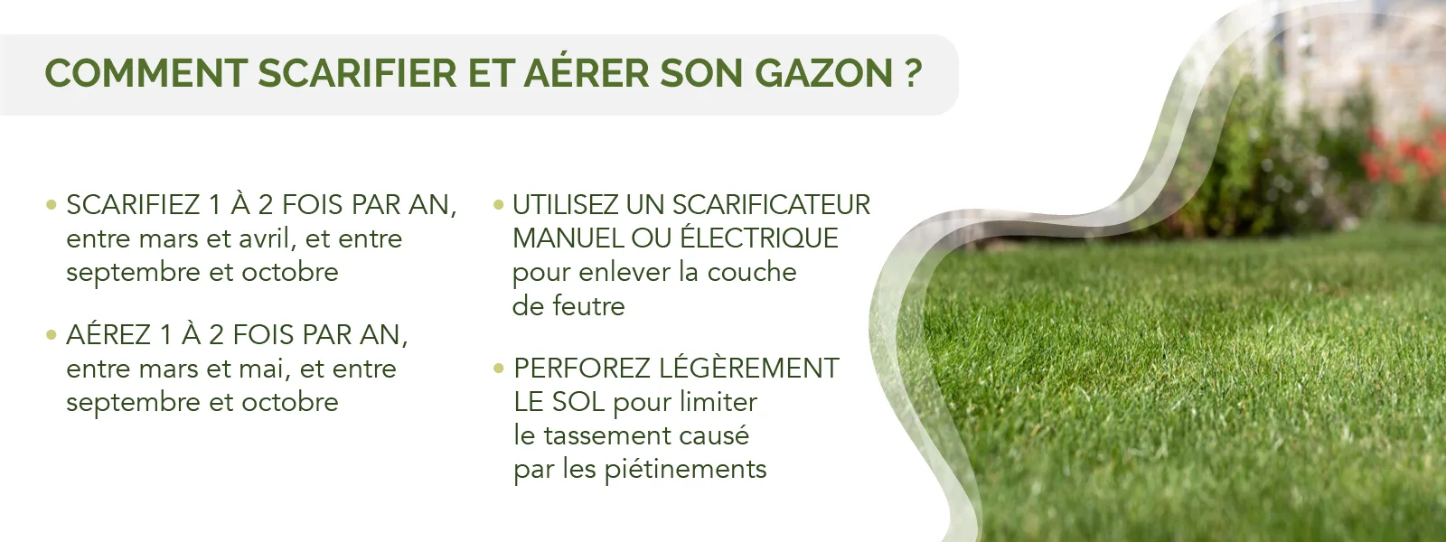 liste des besoins du gazon pour conserver une belle pelouse