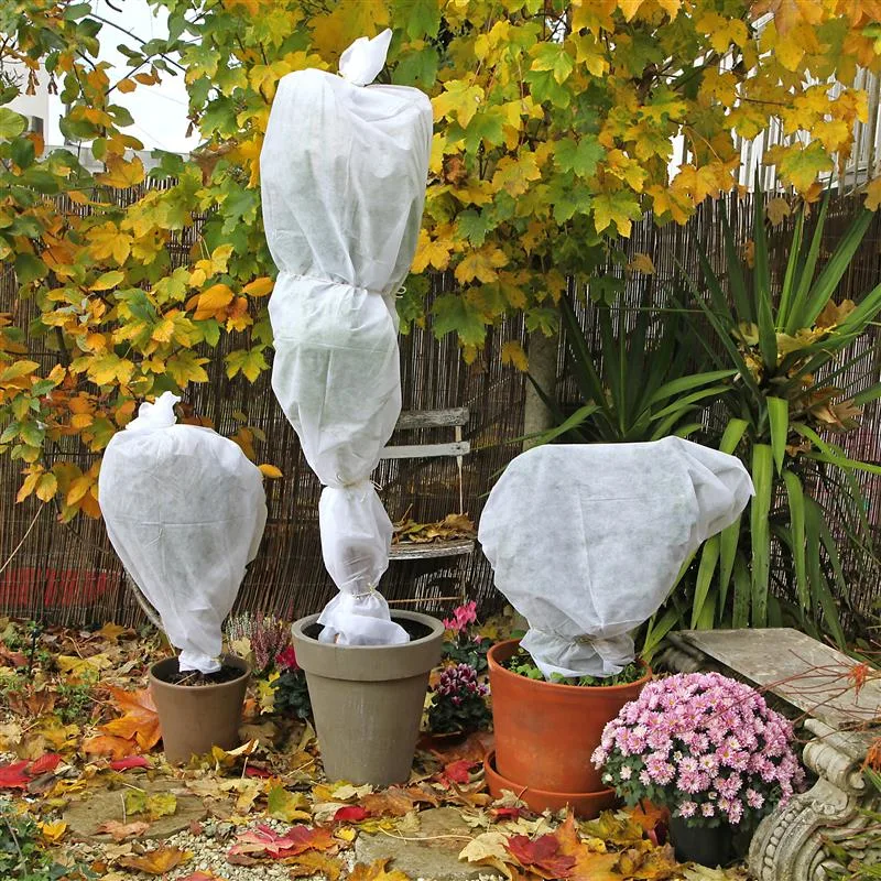 des plantes en pots protégées par un voile d’hivernage