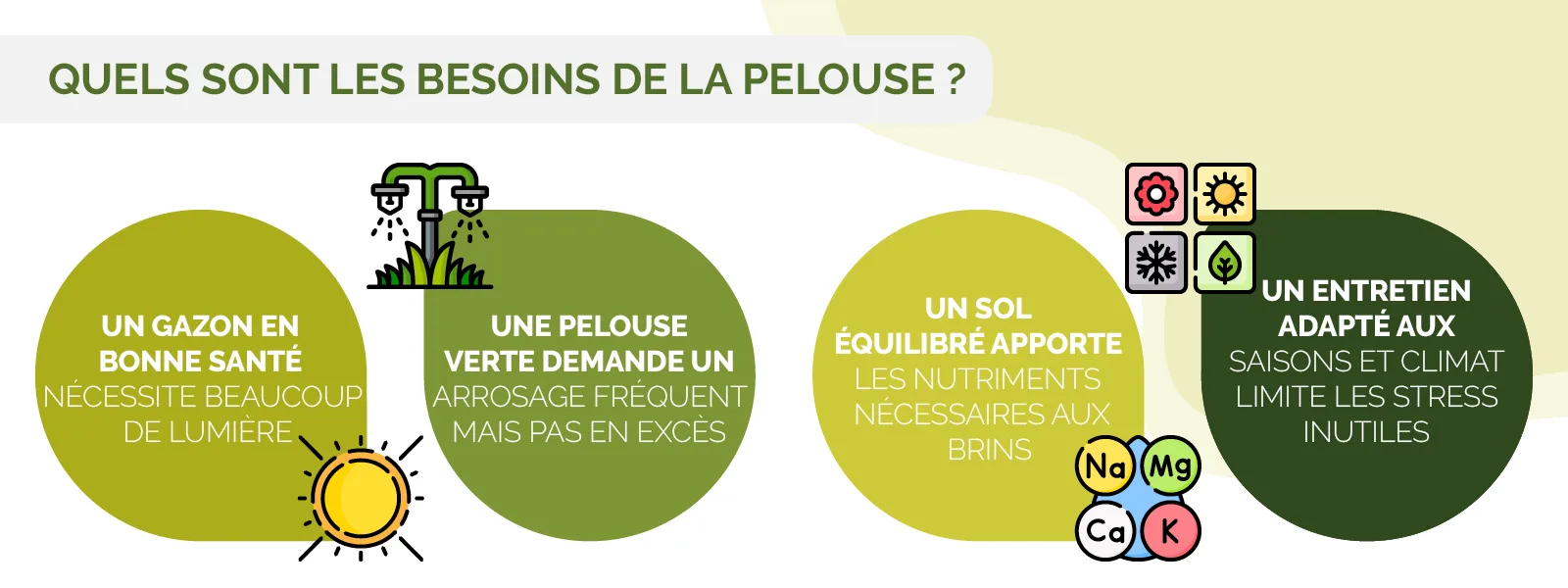 conseils et périodes idéales pour scarifier son gazon efficacement