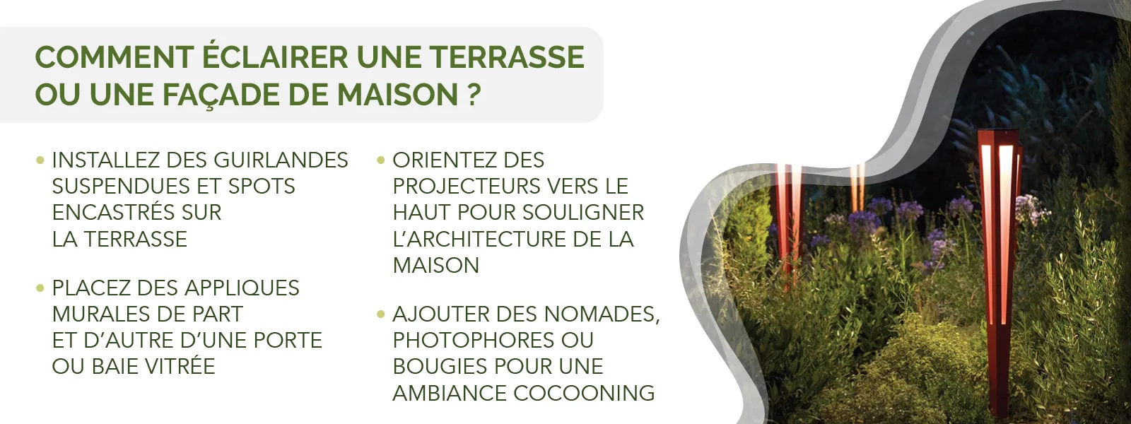 conseils et périodes idéales pour scarifier son gazon efficacement