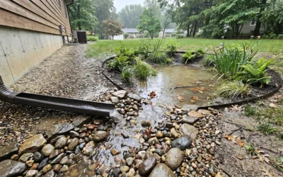 Gestion des eaux pluviales : 5 solutions efficaces pour votre jardin