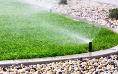 Arrosage automatique au jardin : comment bien choisir et installer son système ?